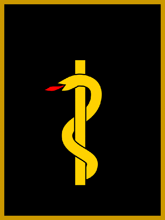 Dienstgrad