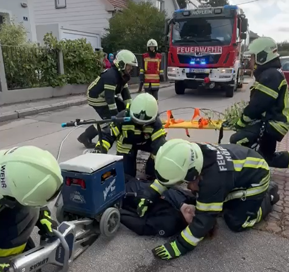 Baumpflanzchallenge 2025