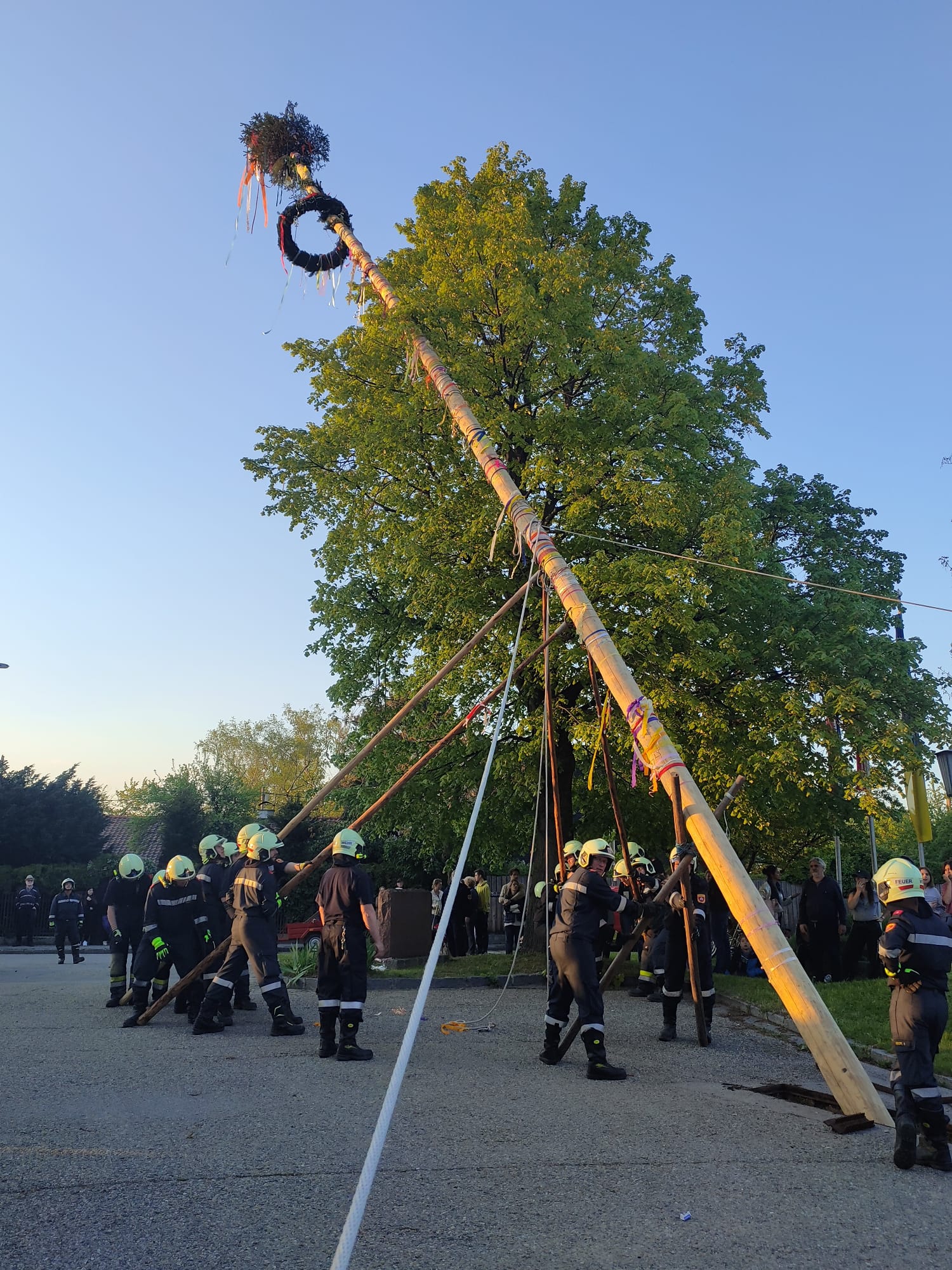 Maibaumfest